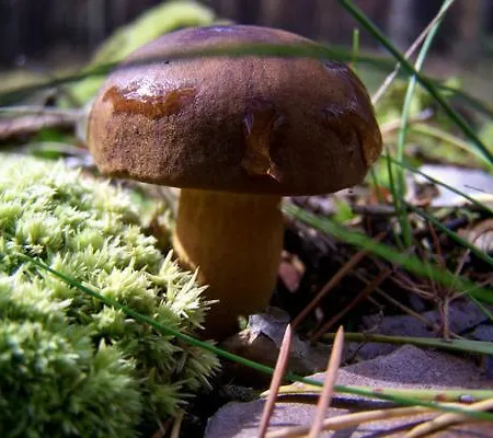 Holiday home Domek Ostroda Ostroda